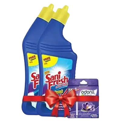 Sanifresh Shine Toilet Cleaner