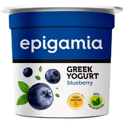 Epigamia Greek Yogurt Blueberry