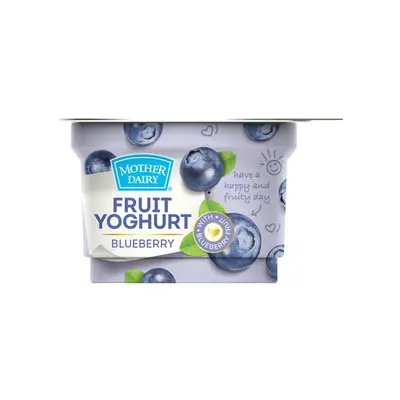 Mother Dairy Blueberry Flavoured Yogurt
