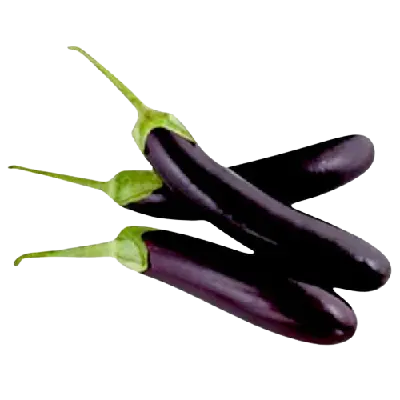 Brinjal Long