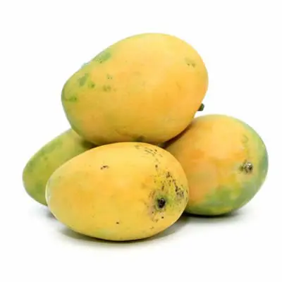Fresh Mango Safeda