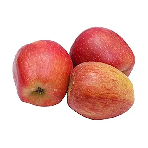 Fresh Kashmiri Apples