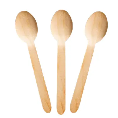 Wooden Disposable Spoon