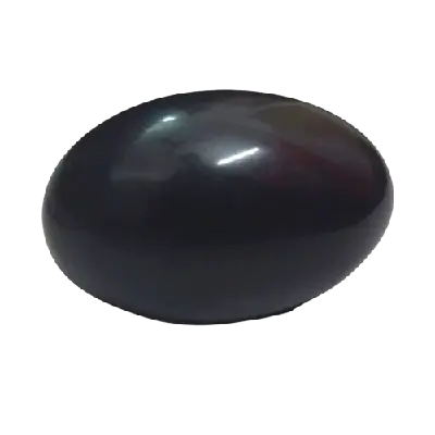 Black Saligram