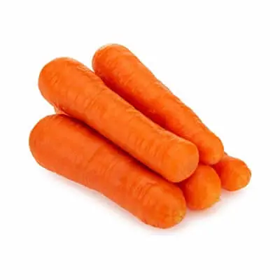 Carrot OOTY