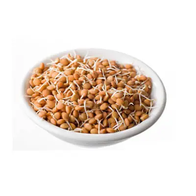 Sprouts Brown Channa