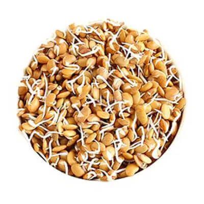 Horse Gram Sprouts