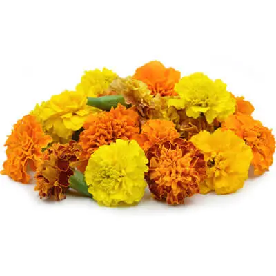 Flowers For Puja